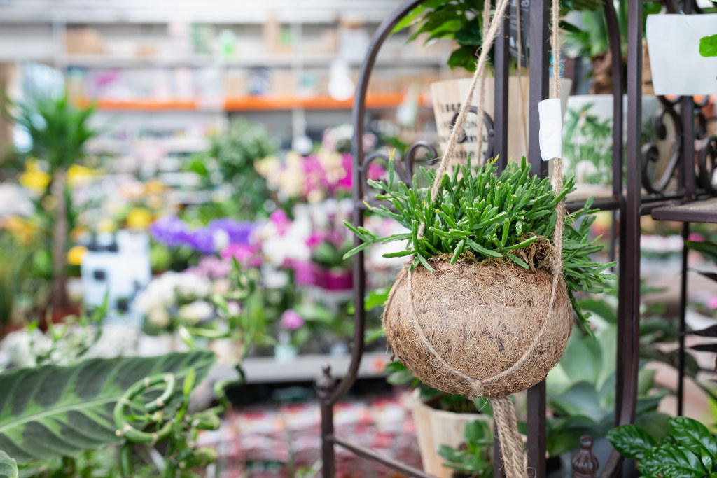 Wygodne i stylowe sofy: Relaksuj się w dobrym stylu